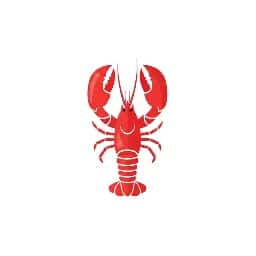 MyOpenClaw - Deploy AI Agents in Minutes, Not Months